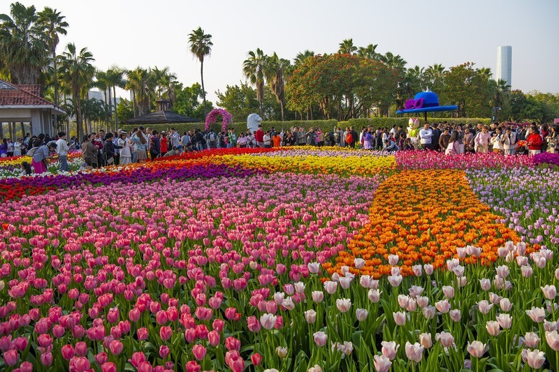 马年郁金香年度展香满园