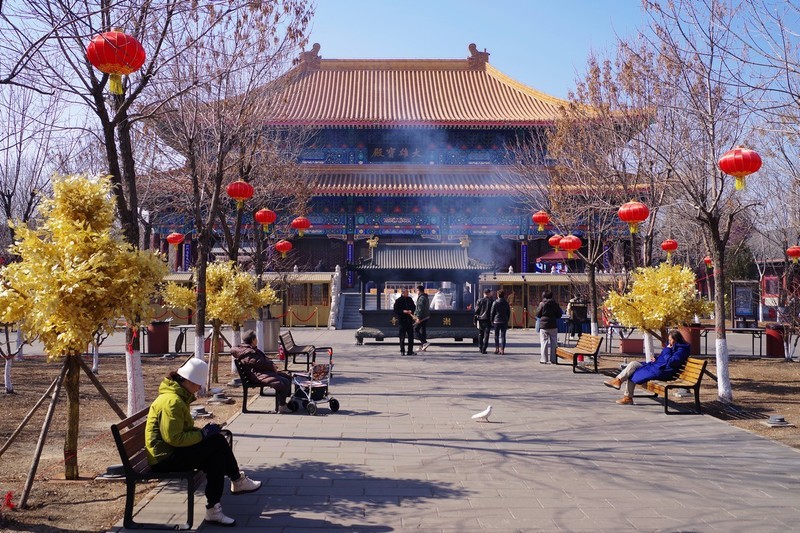 大年初三潮音寺随拍