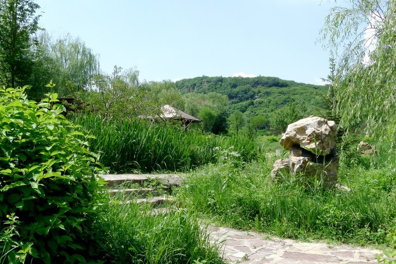 乡村小景2