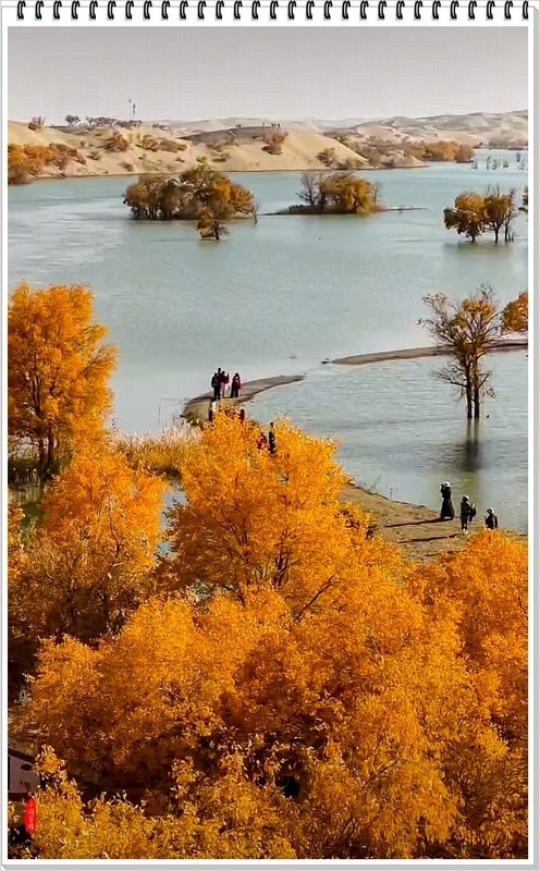 2025年-人文风光纪实抓拍-1094