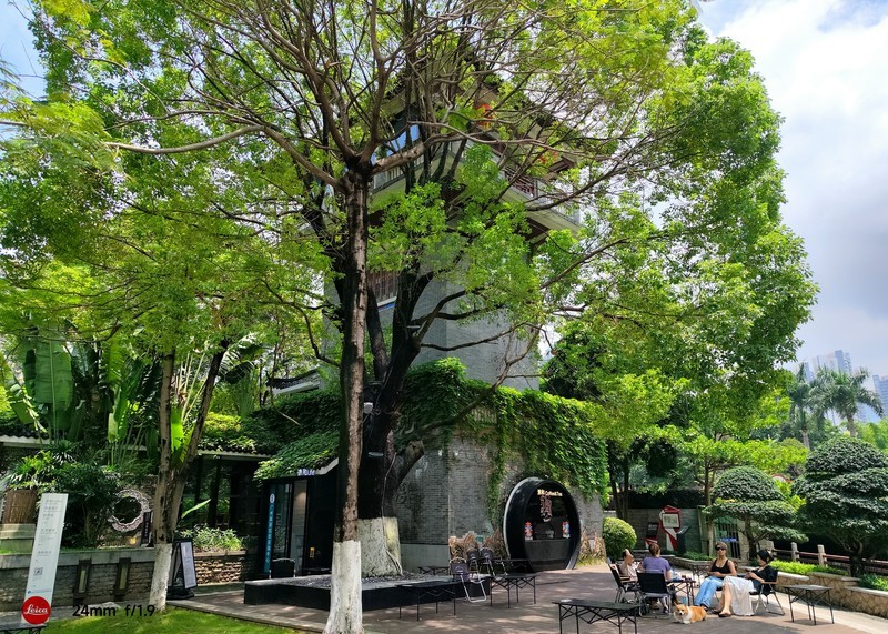 今天的新拍。