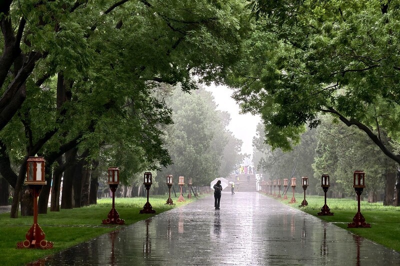 雨中天坛公园