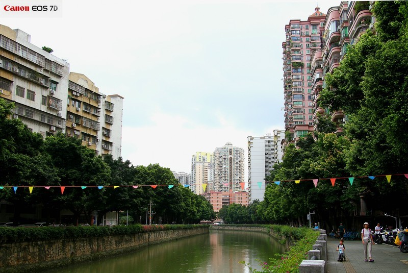 海珠区马涌河的鹭鸟。