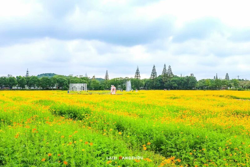 宁波九龙湖孟家花海