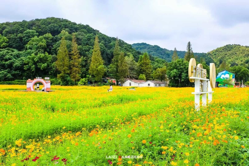 宁波九龙湖孟家花海