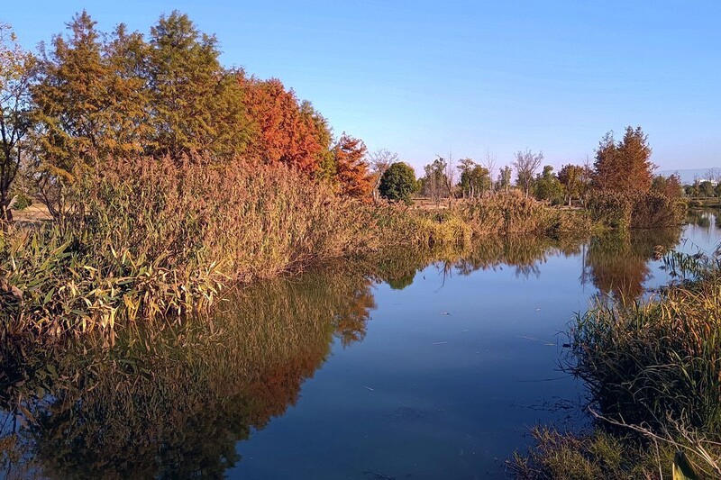 杭州西湖区铜鉴湖游随拍