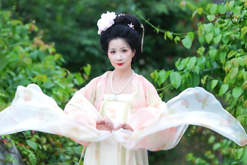 【绿野仙踪】---婉灵