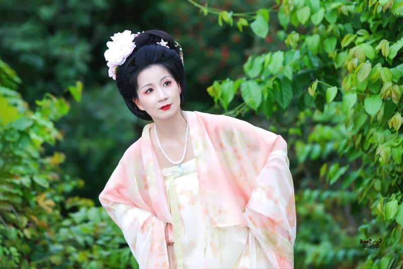 【绿野仙踪】---婉灵