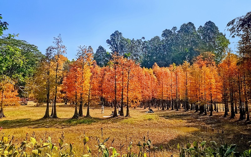 [26063] 番禺大夫山