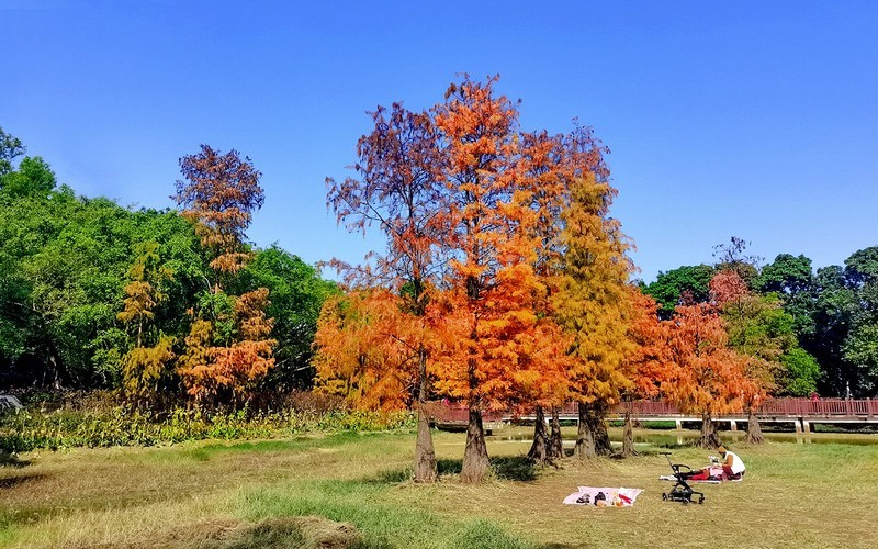 [26063] 番禺大夫山