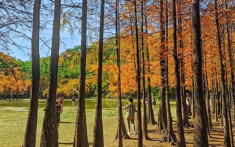 [26063] 番禺大夫山