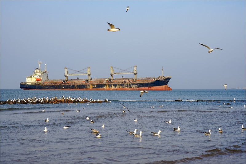 2026年第0146贴-威海布鲁维斯号纪实旅拍（0225）