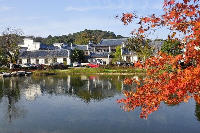 湿地—枫叶红了