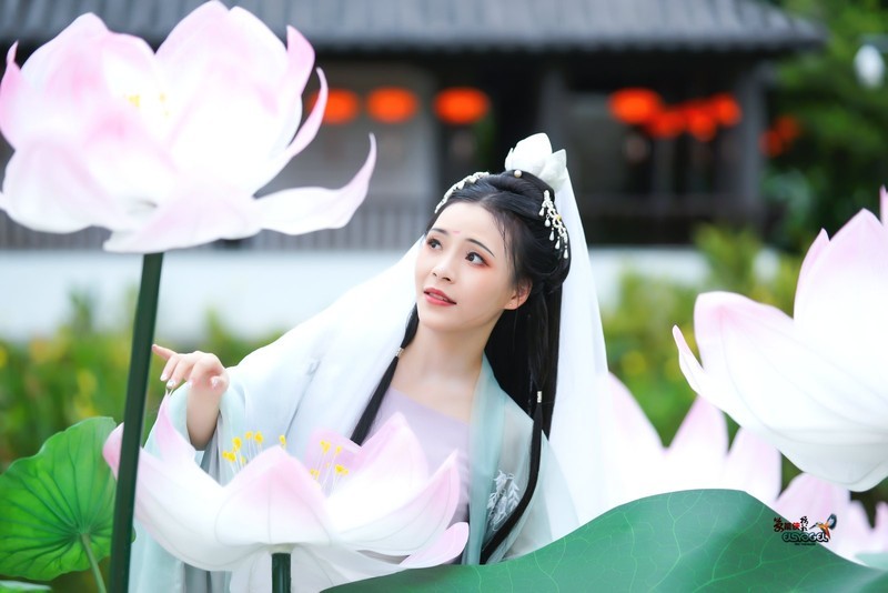 【莲池仙影·净瓶渡尘】---佳佳