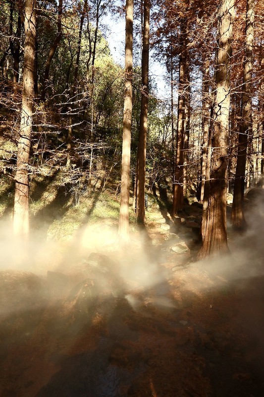 植物园樱桃沟雾化喷泉之二（完）
