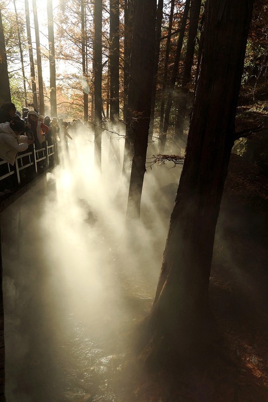 植物园樱桃沟雾化喷泉之二（完）
