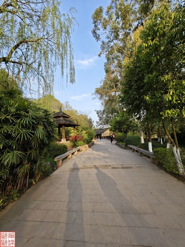 2025.4.21外出吸新鲜空气（9）