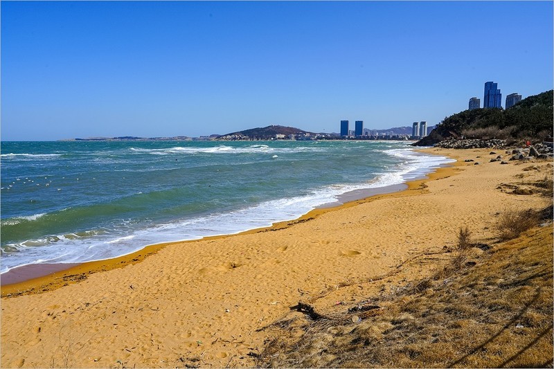 2026年第0147贴-威海火炬街海滩旅拍（0226）