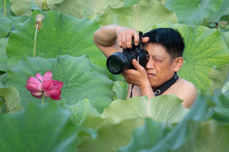 荷塘人像-《摄荷》