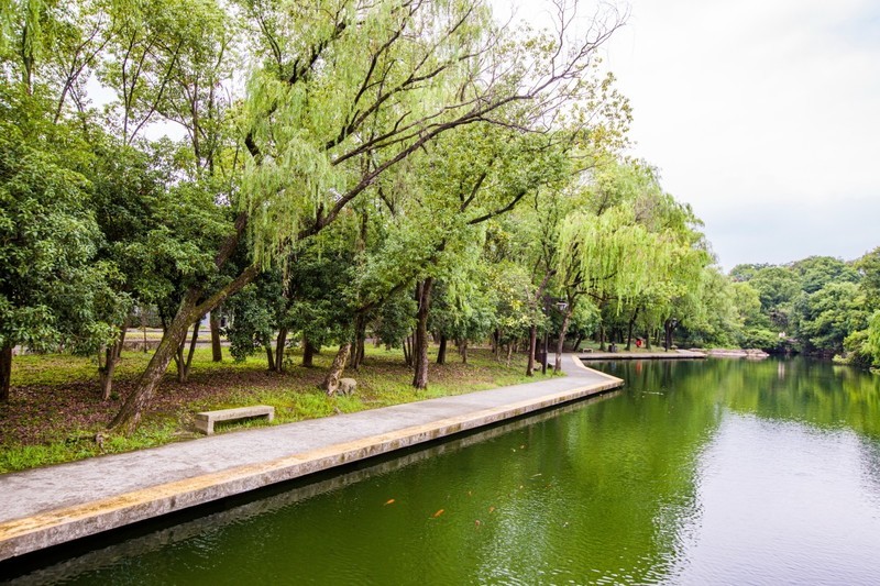 外出随拍（548）.