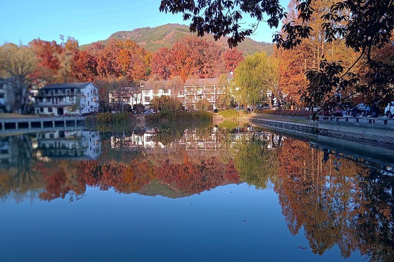 杭州临安区红叶村游随拍