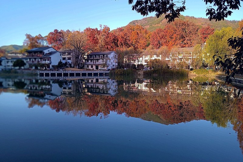 杭州临安区红叶村游随拍