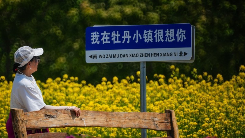 牡 丹 花 开 贵 人 来