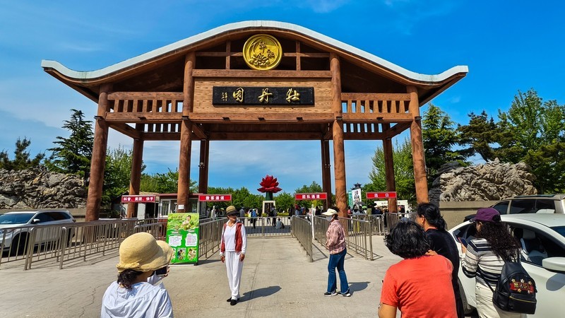 牡 丹 花 开 贵 人 来