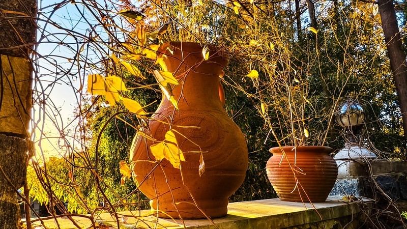 迎 宾 路 边 小 景 （ 三 ）