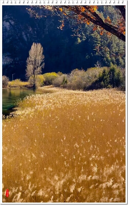 2025年-九寨沟风光纪实抓拍-1105