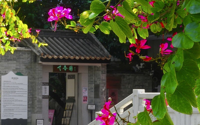 [26067] 十香园门前的河畔