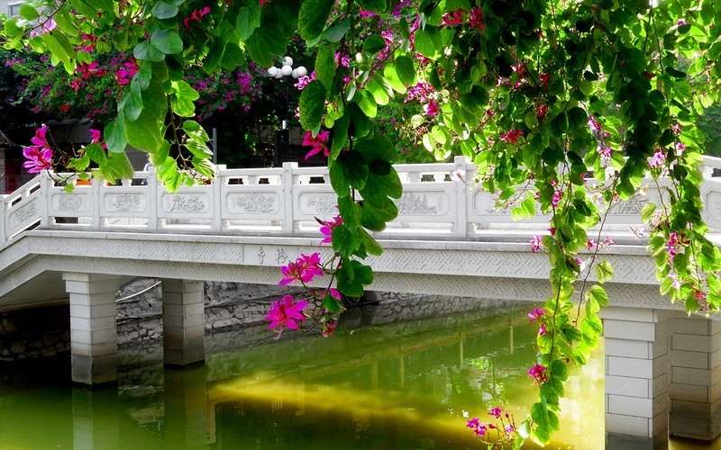 [26067] 十香园门前的河畔