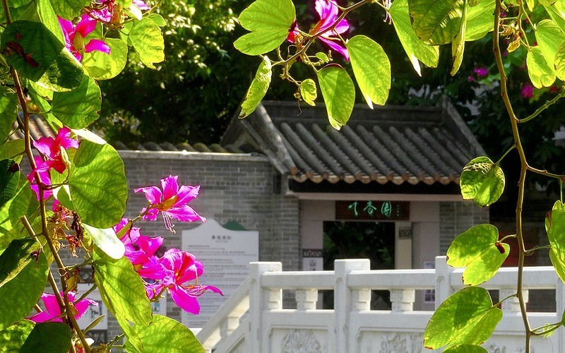 [26067] 十香园门前的河畔