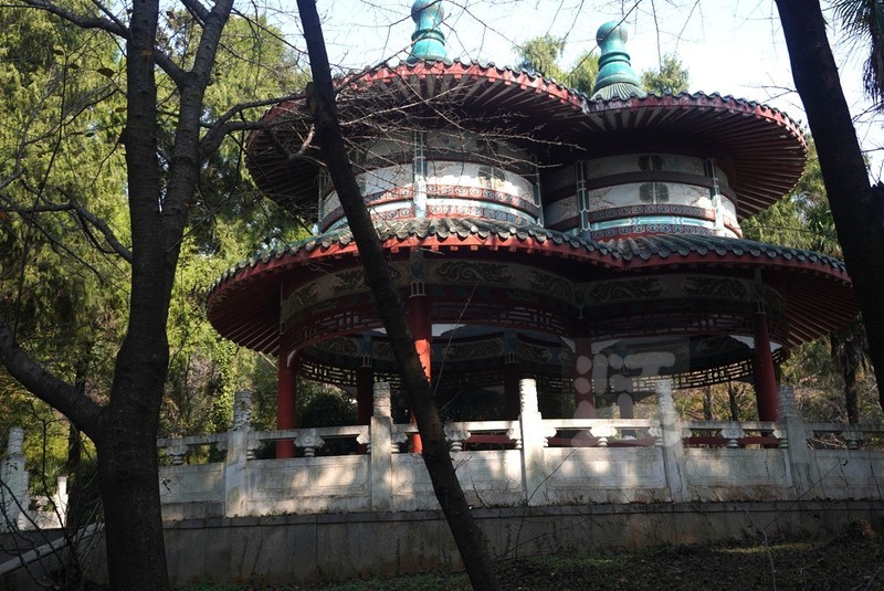 磨山友谊林3——武汉随笔