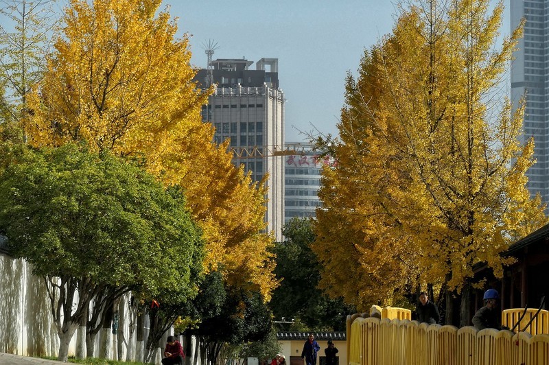 武汉归元寺三（完）