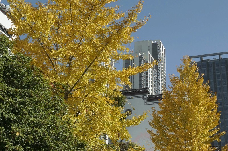 武汉归元寺三（完）