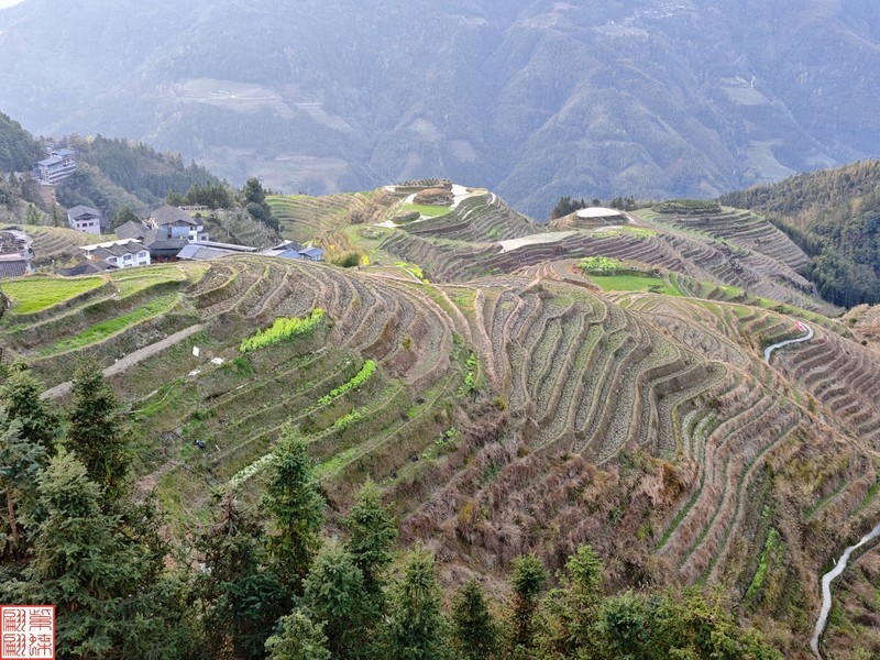 2025.3.19桂林龙脊平安梯田（10）