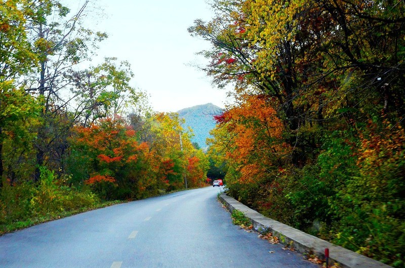 行车途中随拍（5）