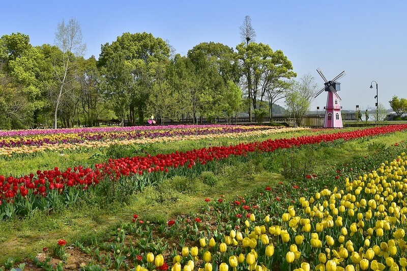 武汉植物园随拍