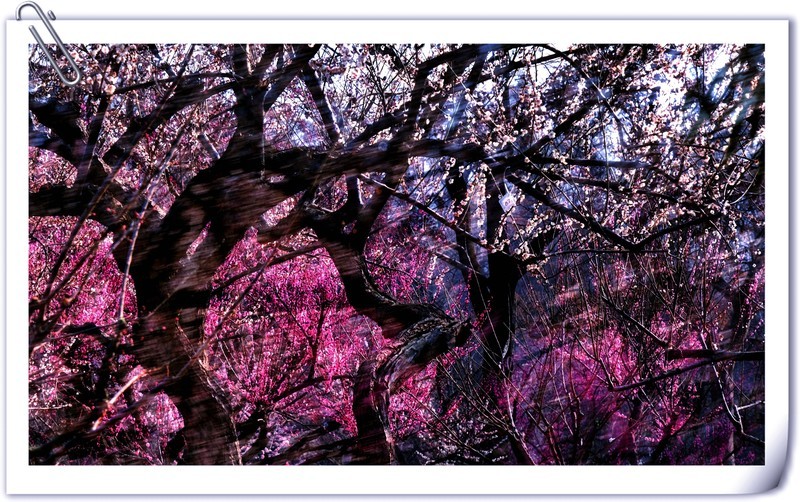 多重曝光∶《江南一树梅》