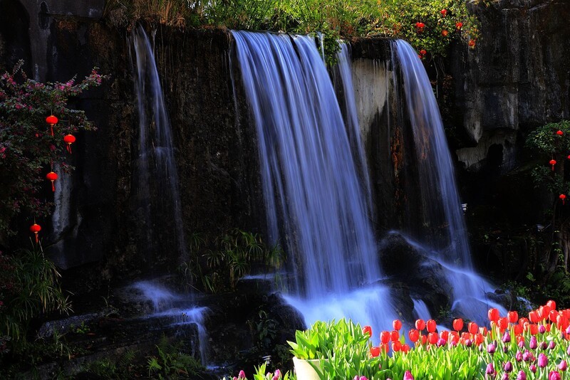 马鞍池公园郁金香花展