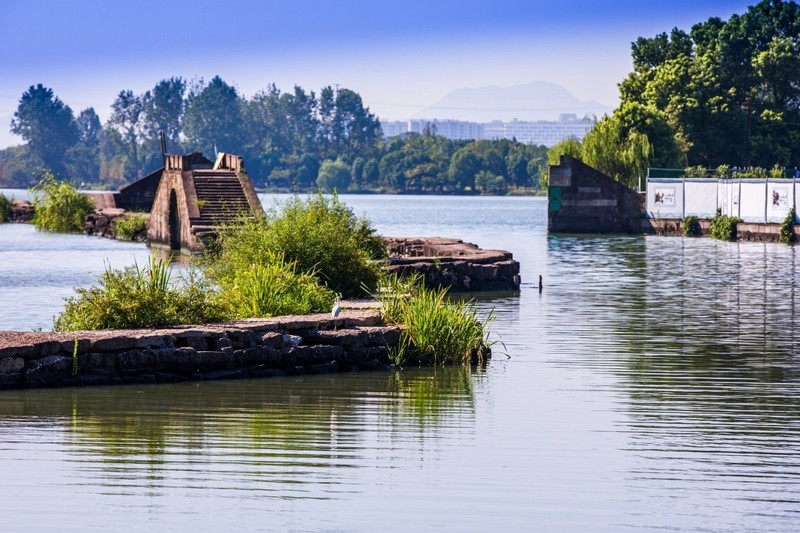 外出随拍（558）.