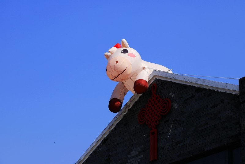 永嘉丽水街古村 (7)