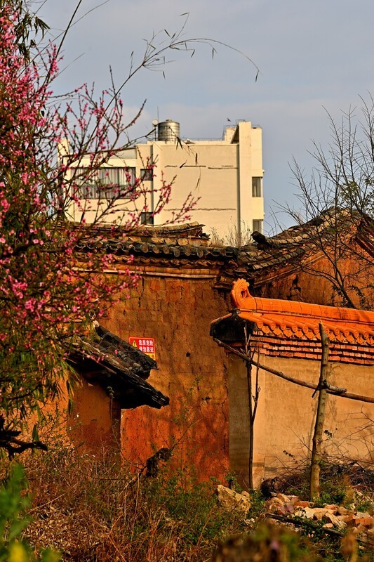 2026小城的春（拾陆）