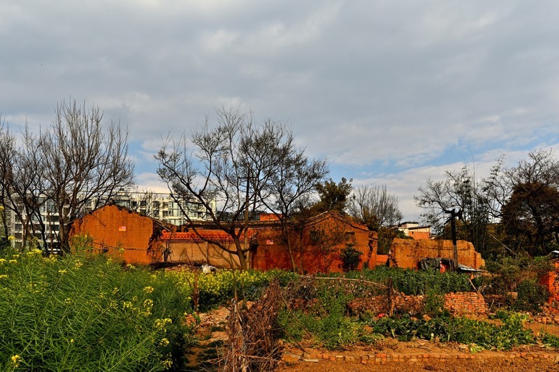 2026小城的春（拾柒）