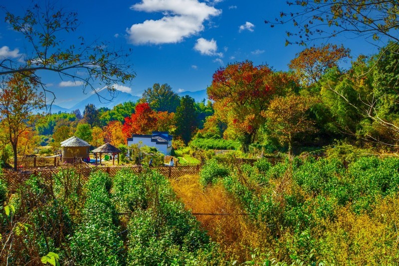 黄山塔川风景 2