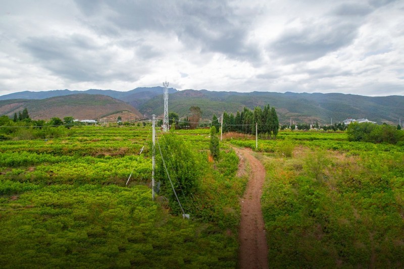 香格里拉到西双版纳沿途风景33