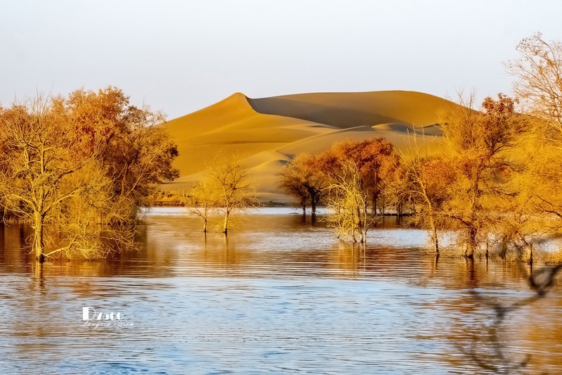 南疆行——尉犁葫芦岛的风景（40）