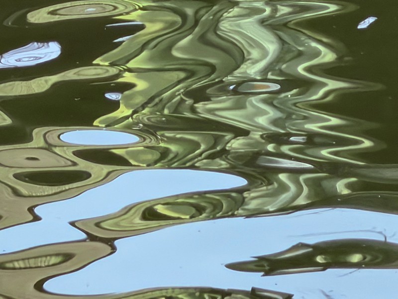 天鹅荡漾的湖面 2-1