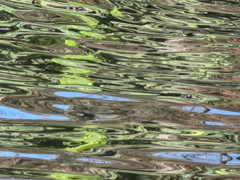 天鹅荡漾的湖面 2-1